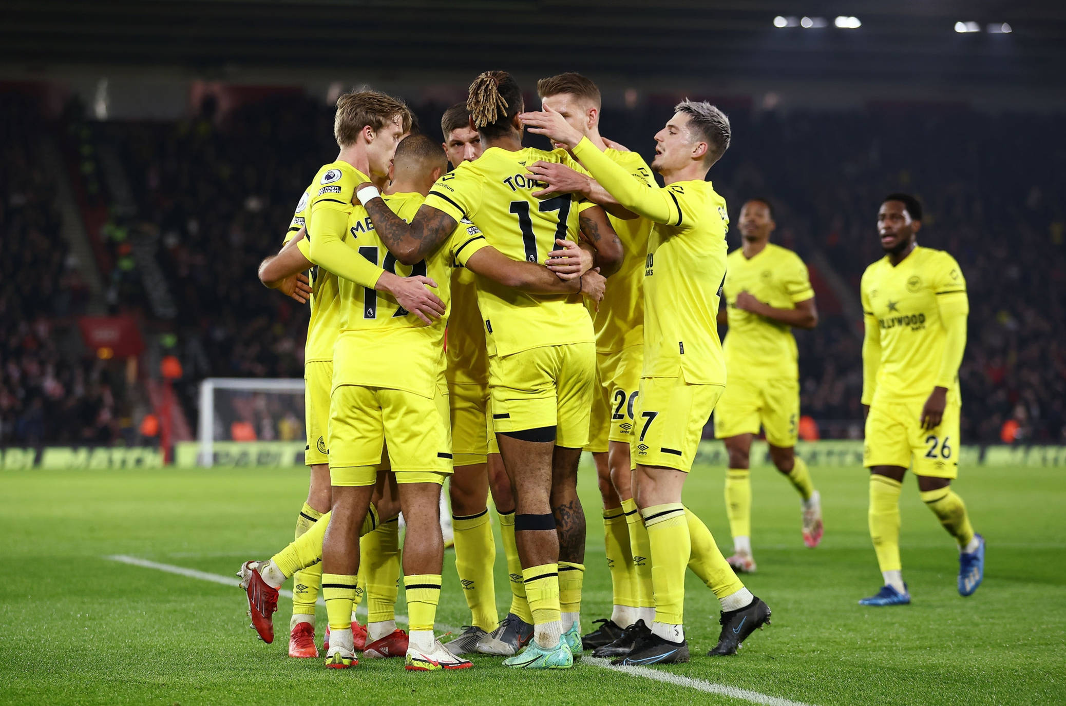 己球员身份 己球员身份